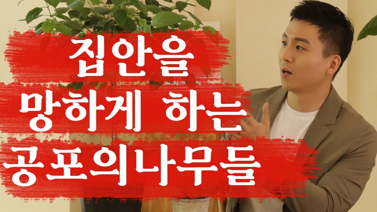 (식물풍수) 집안에 절대 두면 안되는 나무들/우리집이 안풀리는 이유