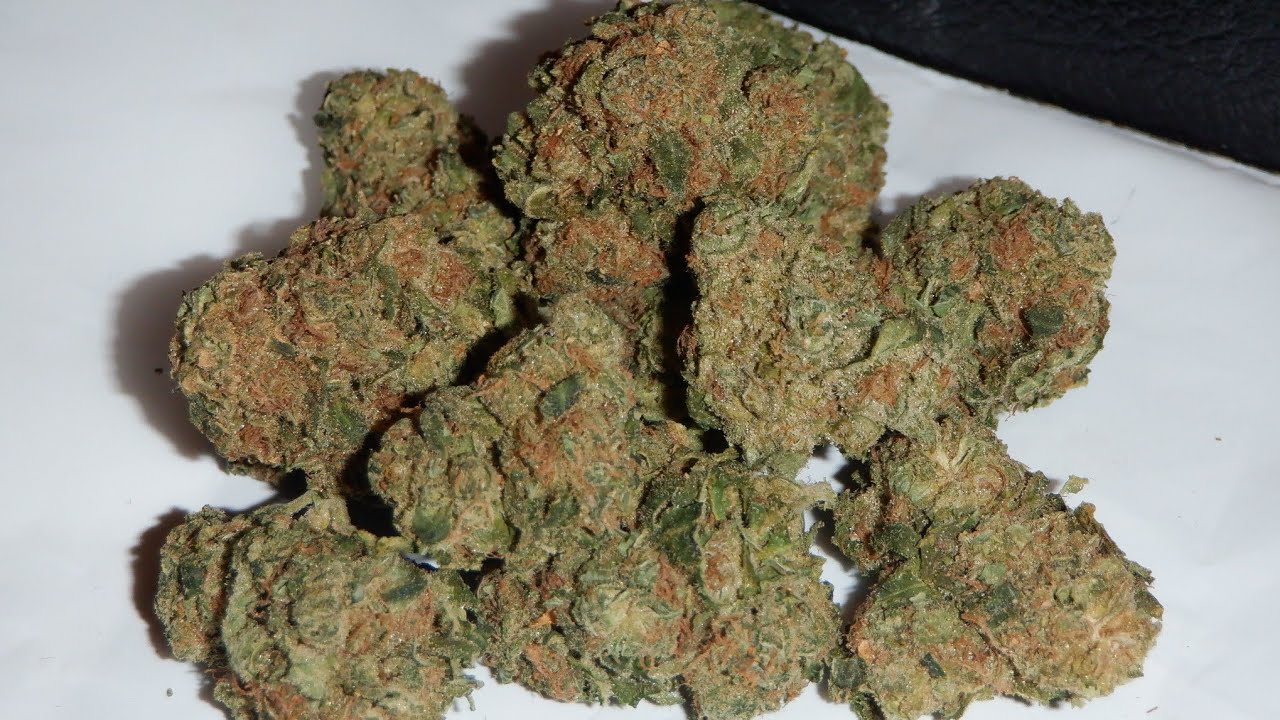 Strain Review Blue Dream By Station House