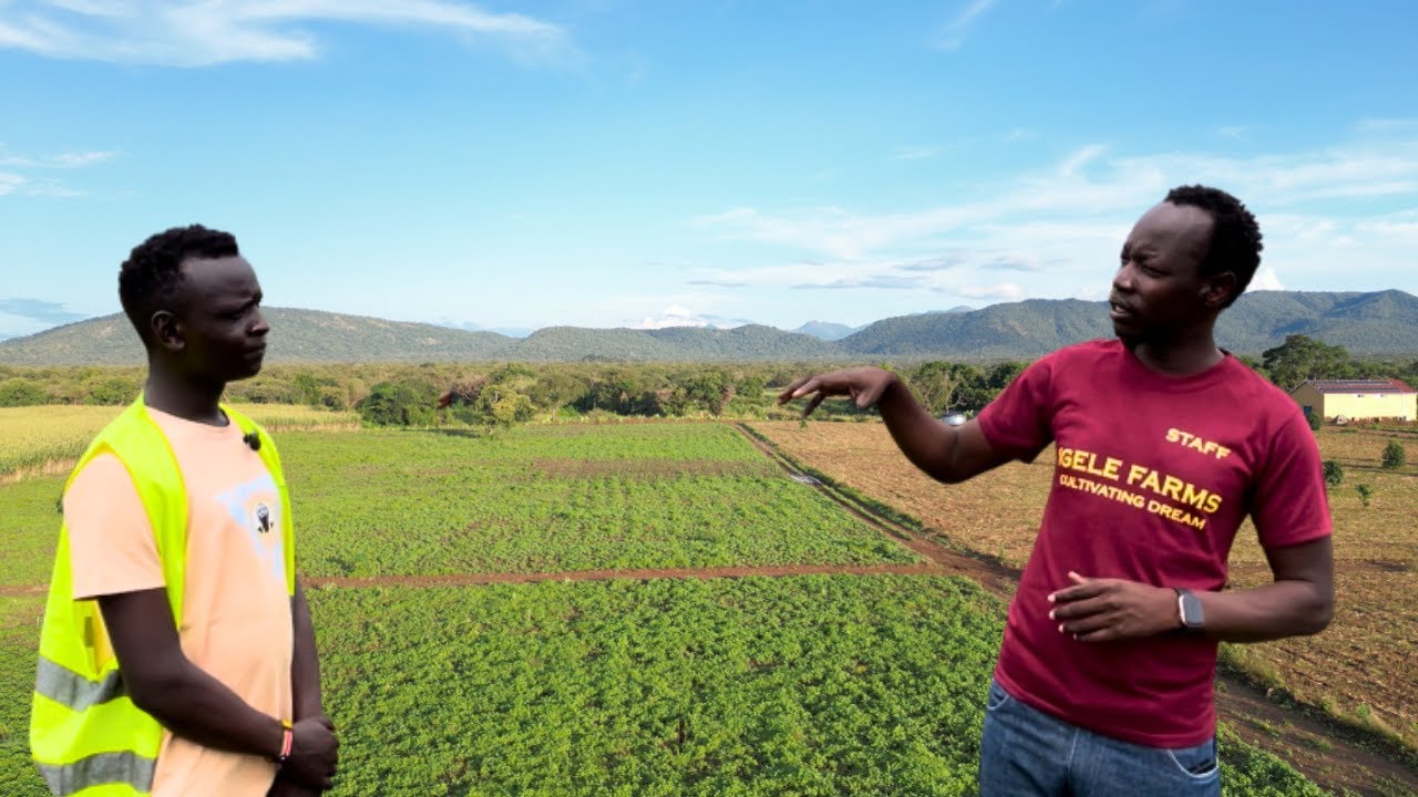 How He Left America And Now Owns 2000 Acres Farm In South Sudan