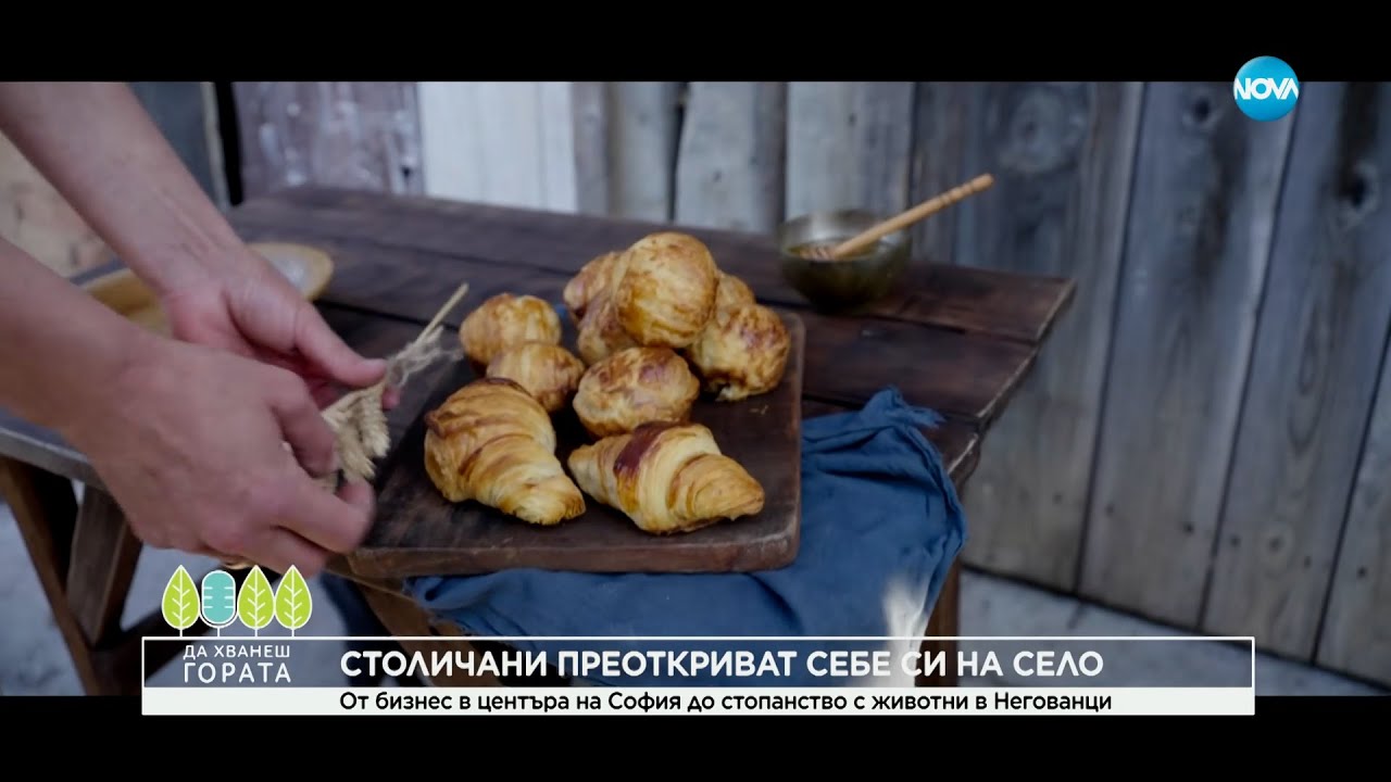 Да хванеш гората (19.11.2023)