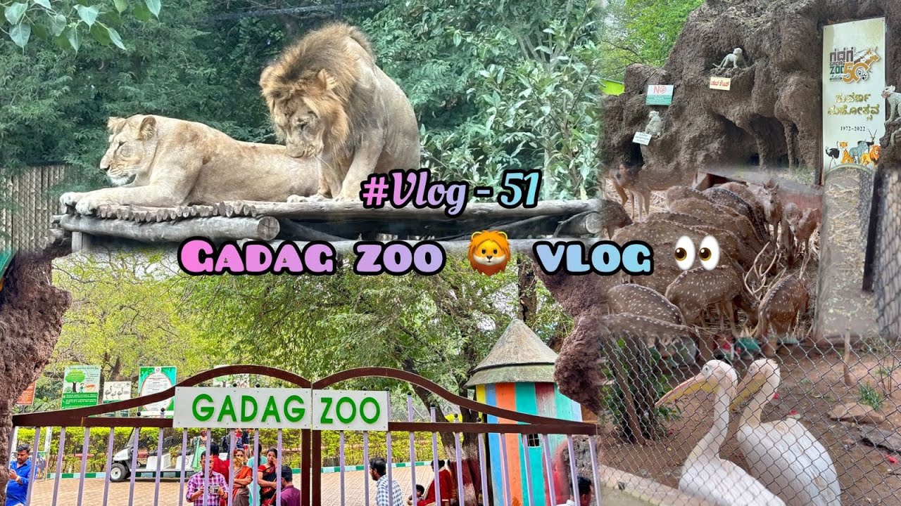 Gadag Zoo 🦁 Vlog 👀 || #gadag  zoo || gadag zoo binkadkatti || gadag zoo video || gadag zoo park#zoo