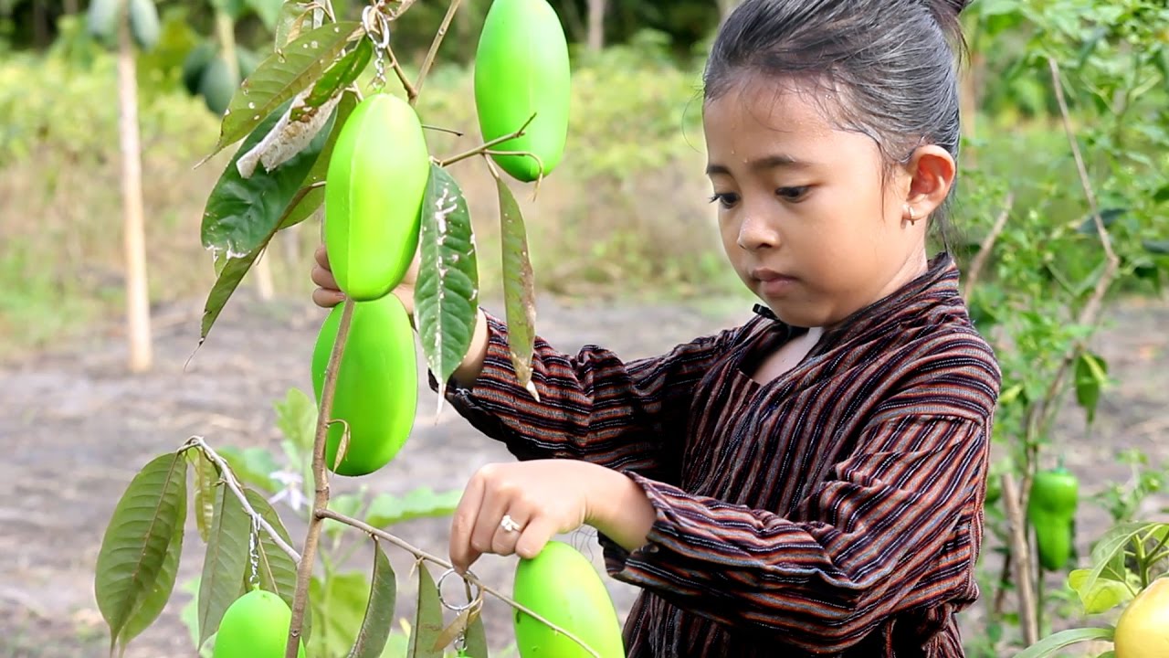 what if shinta jadi petani squishy - squishy dares indonesia - home sale squishy