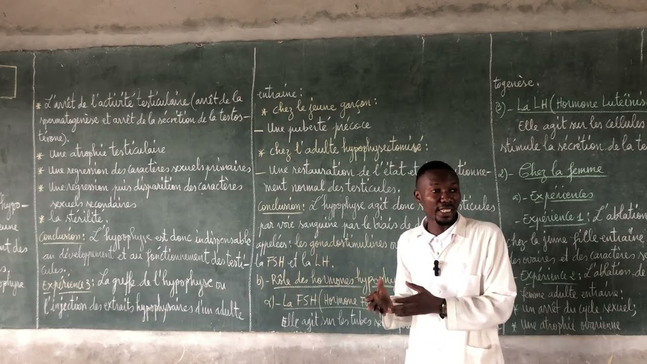 Rôle de l’hypophyse chez l’homme 
