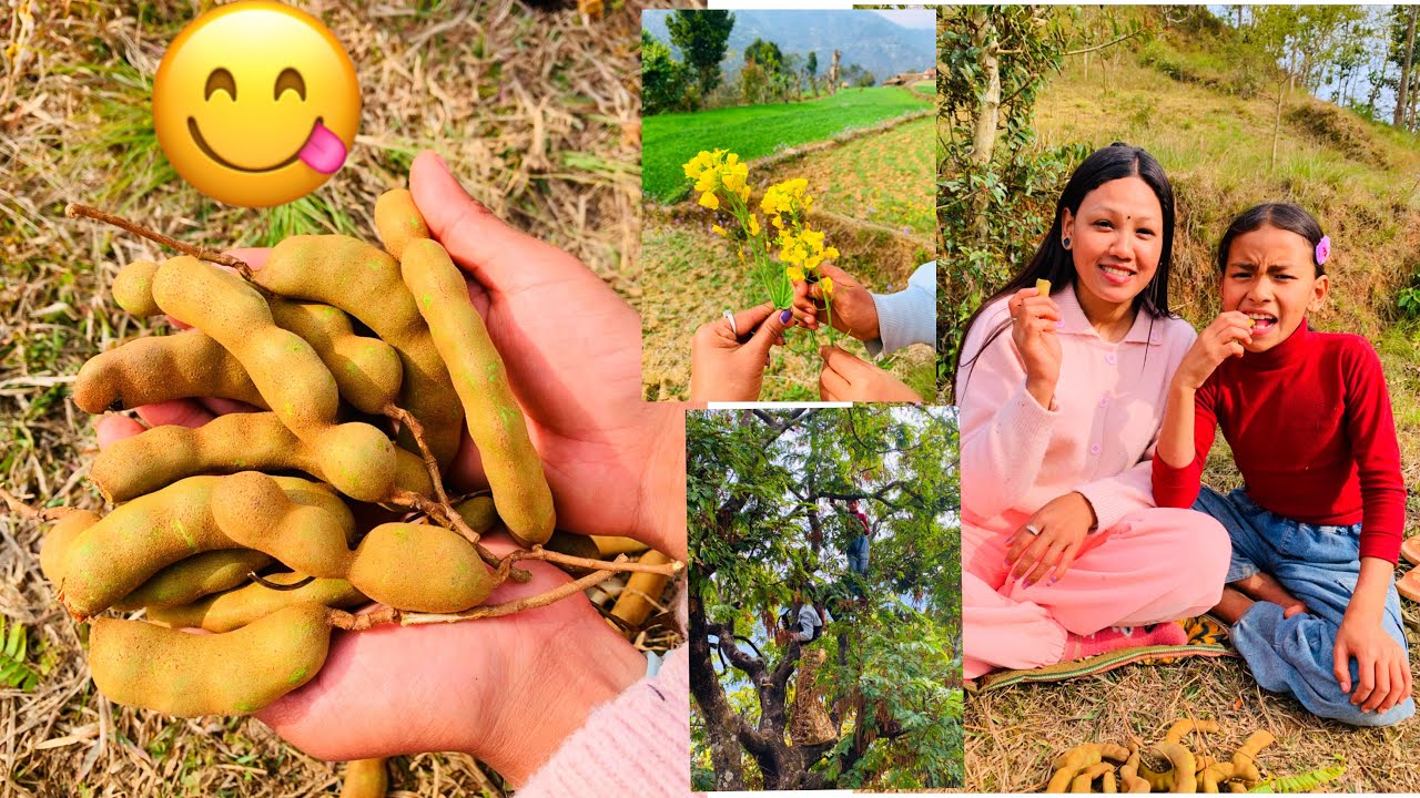 Aaja emily khana gako ramailo vayo🥰❤️##youtubevlogvideo ##plz_subscribe_my_channelvideovideo#