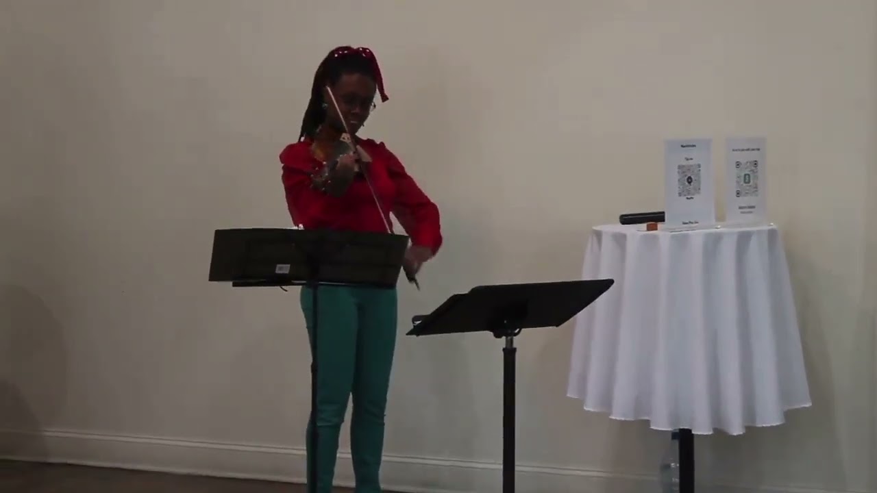 It’s the Most Wonderful Time of the Year - Violin Cover - Live at a Christmas Party