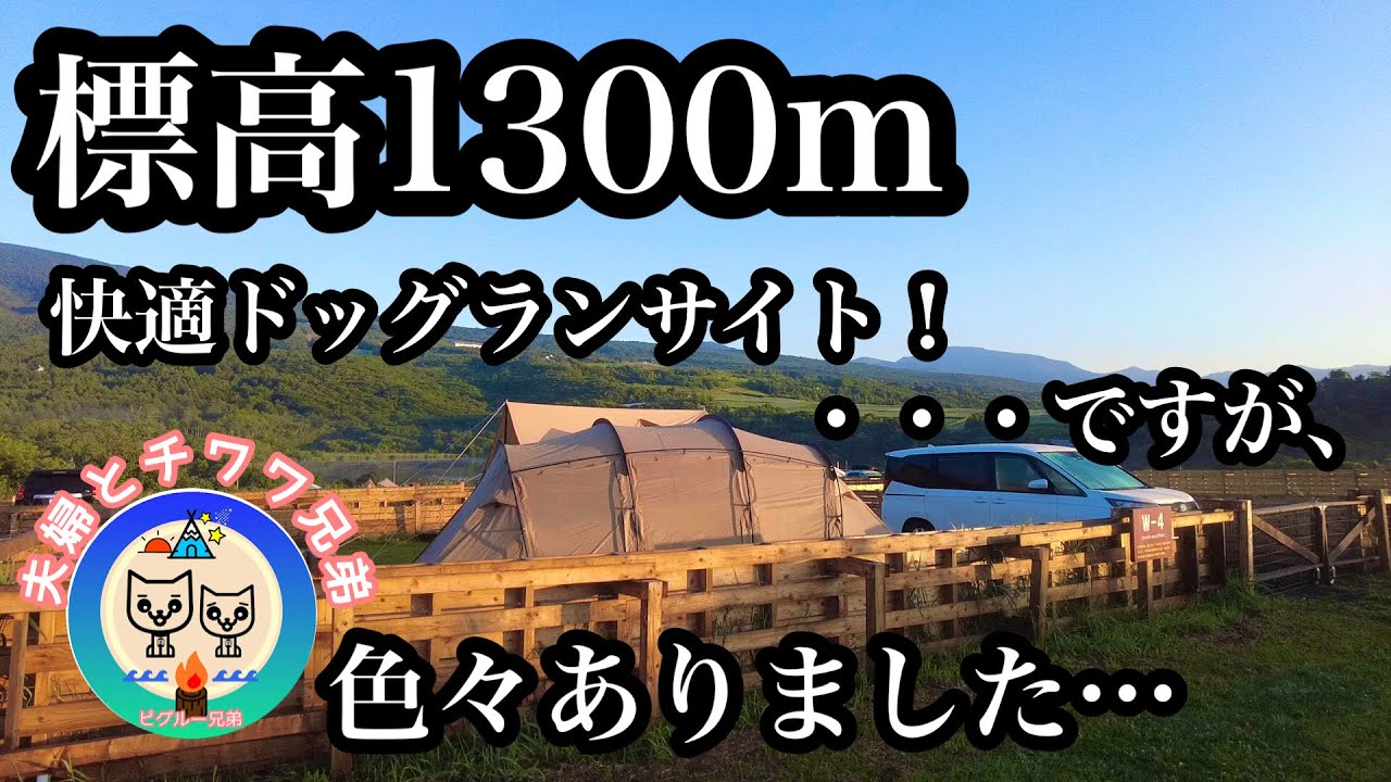 【無印良品カンパーニャ嬬恋キャンプ場】アルニカ×チーズタープで涼しい夏キャンプ 超絶ゲリラ豪雨&〇〇キャンパーにも遭遇…【犬連れ夫婦キャンプ】ドッグランサイト