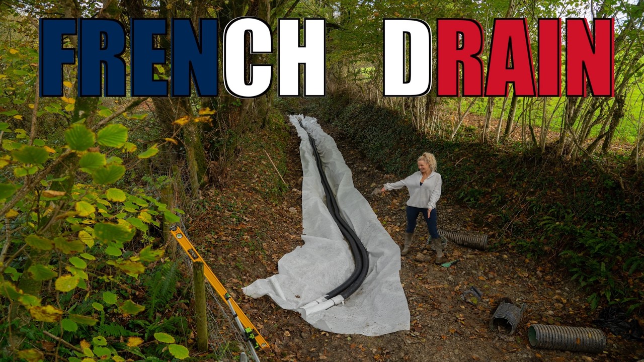 FRENCH DRAIN | A DIY Project With No Experience
