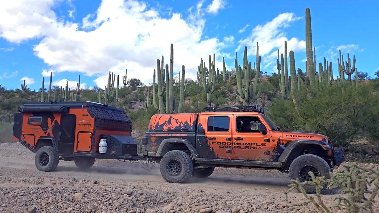 OVERLANDING ARIZONA: The hunt for the Crested Saguaro Cactus