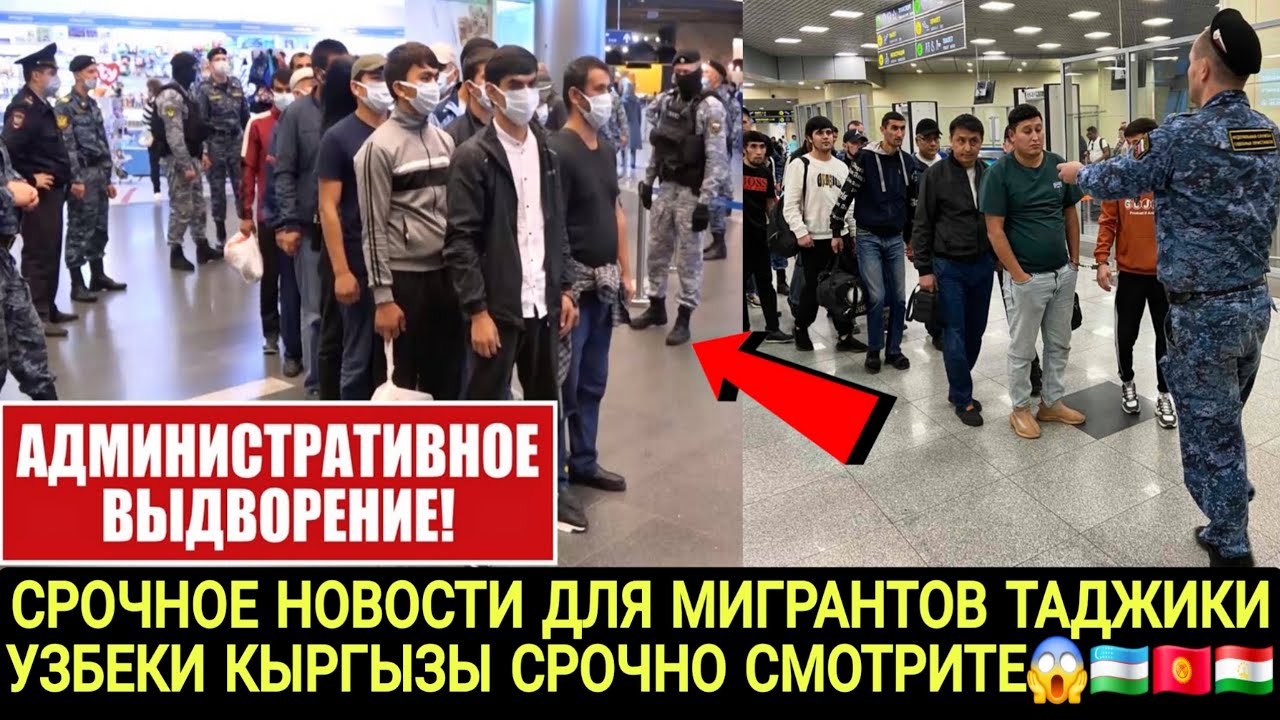 ЧТО БУДЕТ С МИГРАНТАМИ В РОССИИ ТАДЖИКИ КЫРГЫЗЫ УЗБЕКИ СРОЧНО СМОТРИТЕ 😱🇺🇿🇰🇬🇹🇯