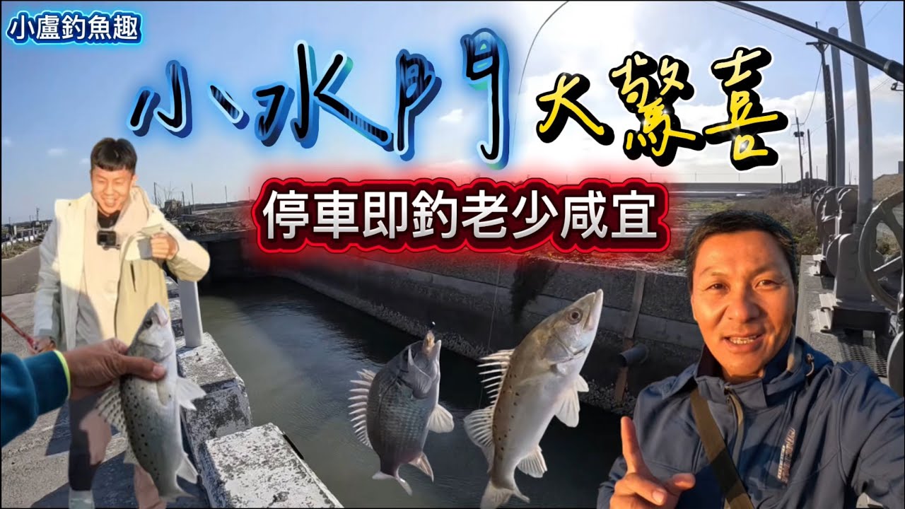 停車即釣的「小水門」給你大驚喜！適合老少咸宜的好釣點與您分享～