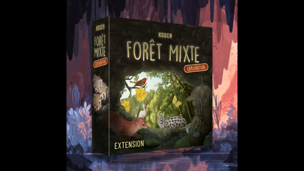 🦇 Forêt Mixte : Exploration. Les chauves sourient