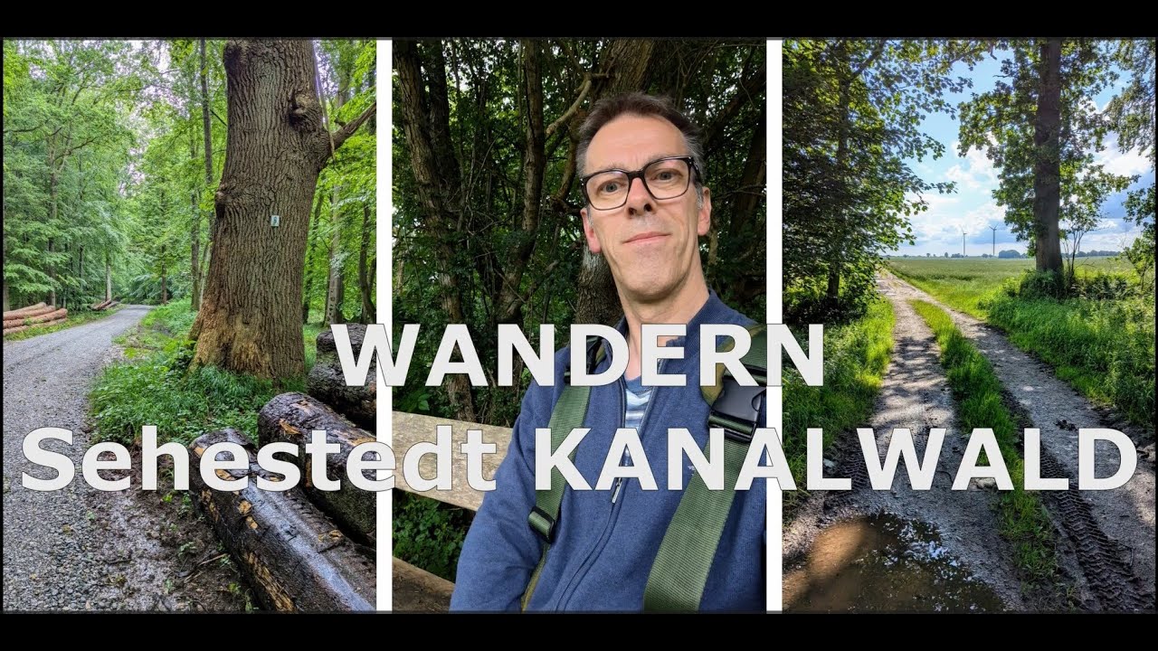 WANDERN Sehestedt KLUVENSIEKER HOLZ 🥾 #hiking #wanderlust #schleswigholstein