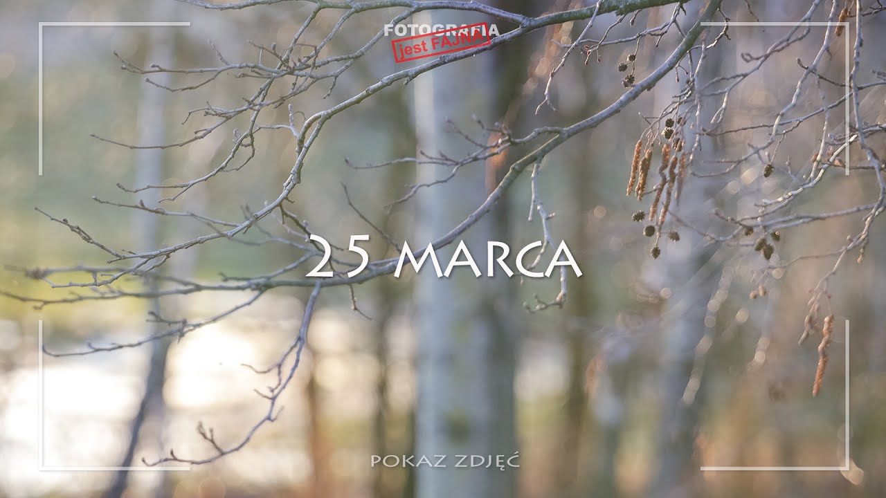 ☀️ 25 marca - POKAZ ZDJĘĆ - Dorota Milerowicz - Fotografia jest Fajna