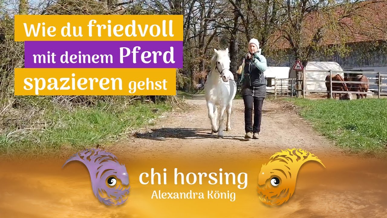 Thema Pferd Führen - Wenn ein Pferd gegen uns ist! Die Ursachen & friedvolle kompetente Korrektur