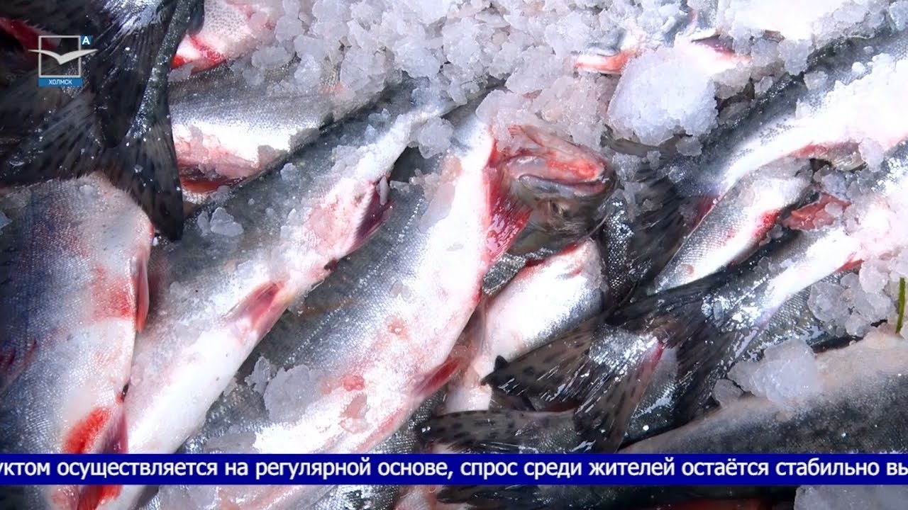 100 рублей за килограмм