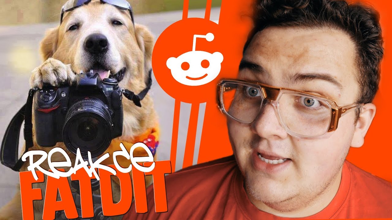 FATDIT: NESKUTEČNÍ GÉNIOVÉ!