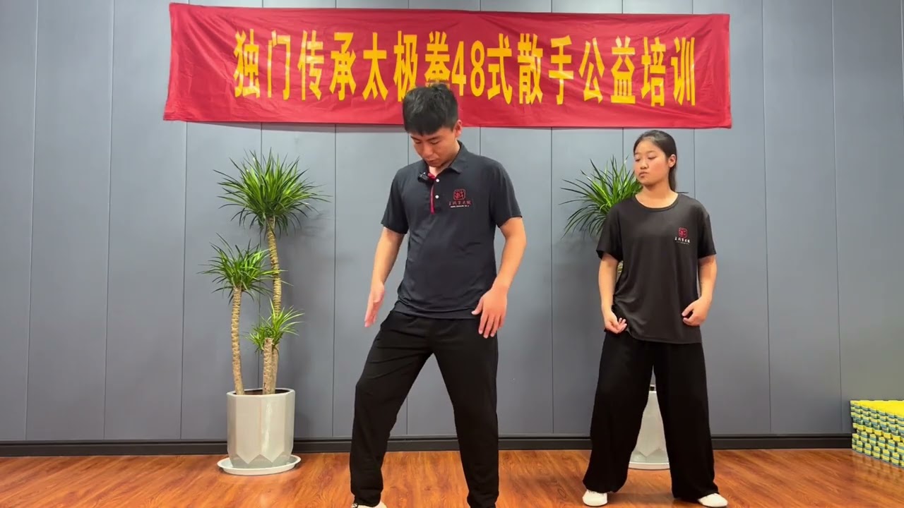 郑佳琦太极拳功法精要汇宗第19节左勾手节节贯穿+旋腰开胯配合