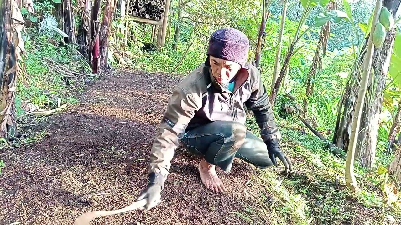 This is what needs to be done before planting