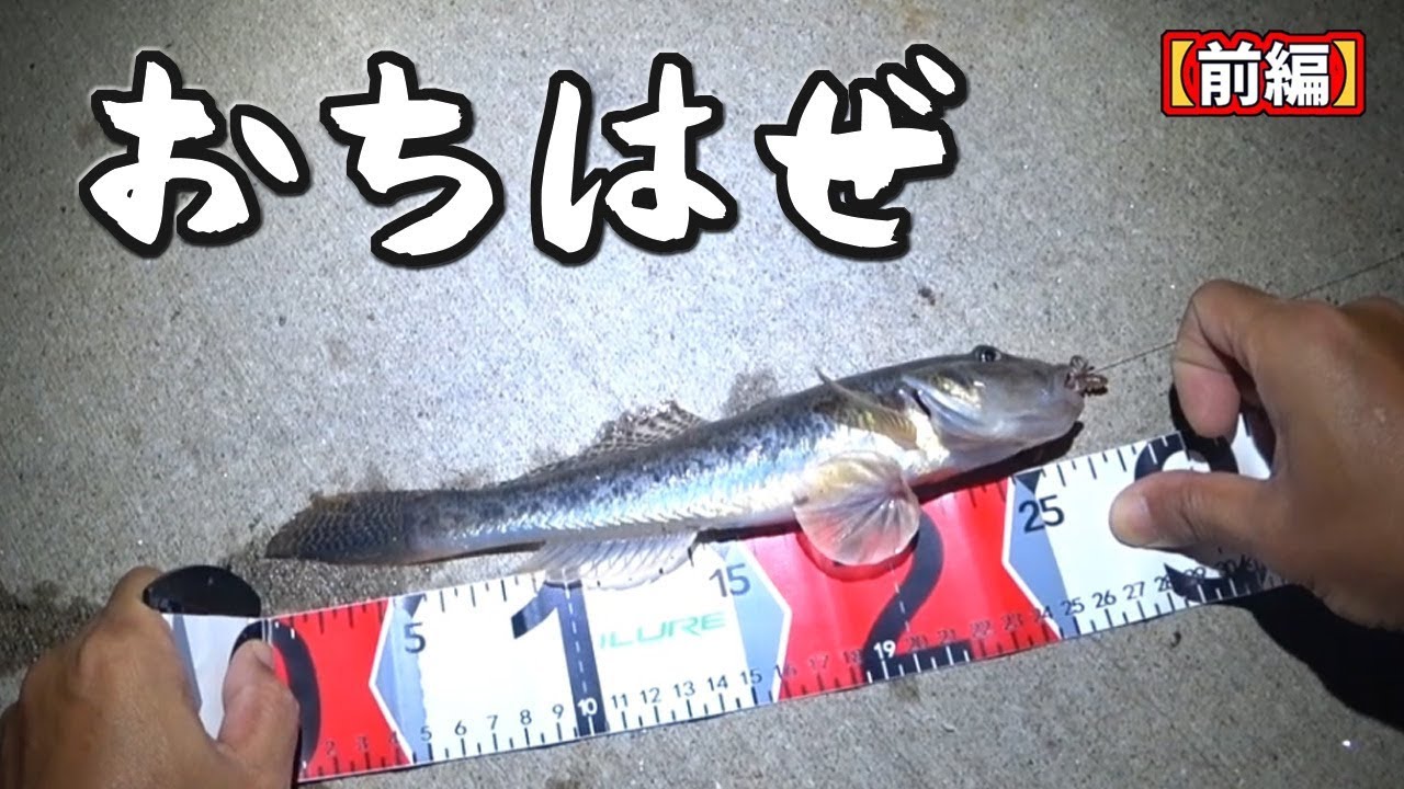 ヘチで落ちハゼ【前編】～27cm！～