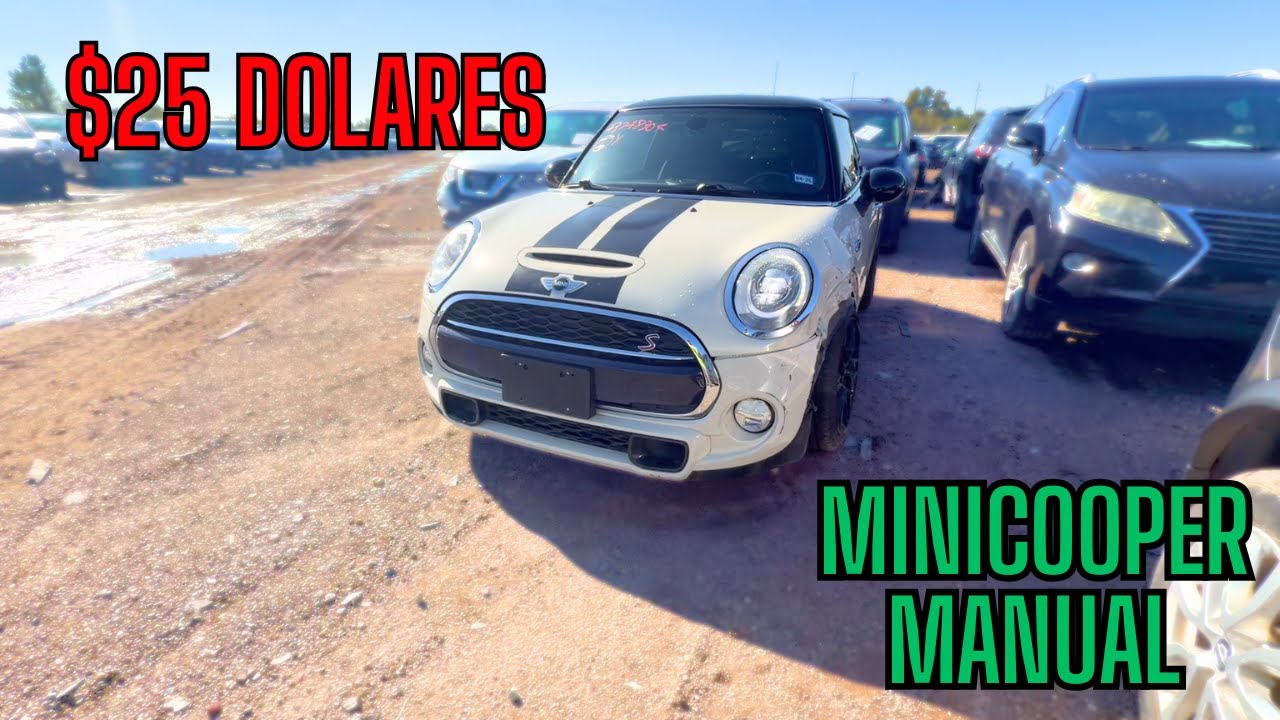BUSCANDO CARROS A PRECIO MUY BAJO EN UNA SUBASTA DE USA