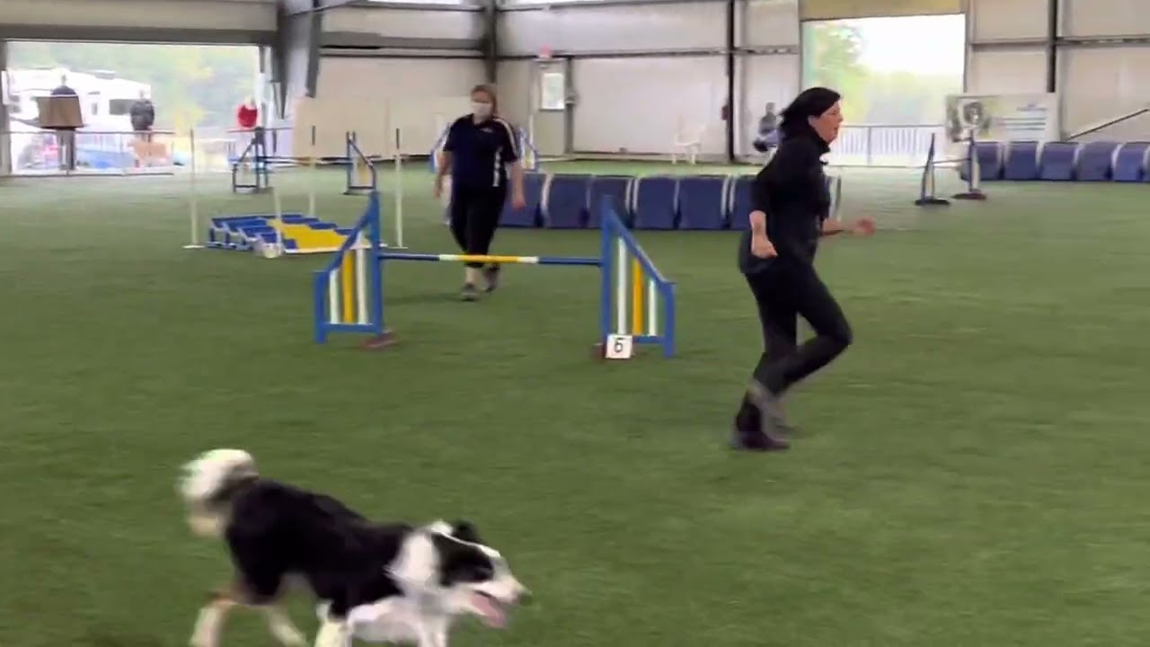 Grin:) first USDAA Agility Steeplechase.
