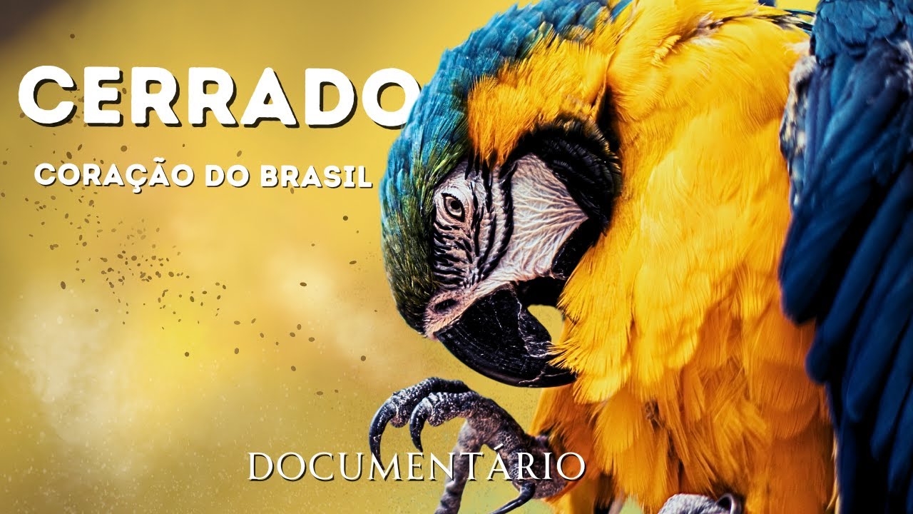 CERRADO Brasileiro | O Bioma Que Alimenta o Brasil | Documentário