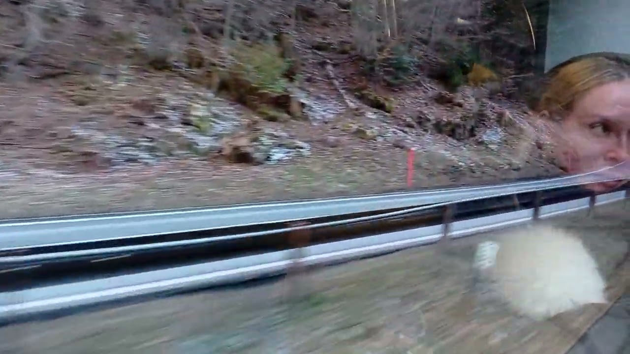 Train Travel in Switzerland, Grindelwald to Interlaken 🇨🇭🇨🇭