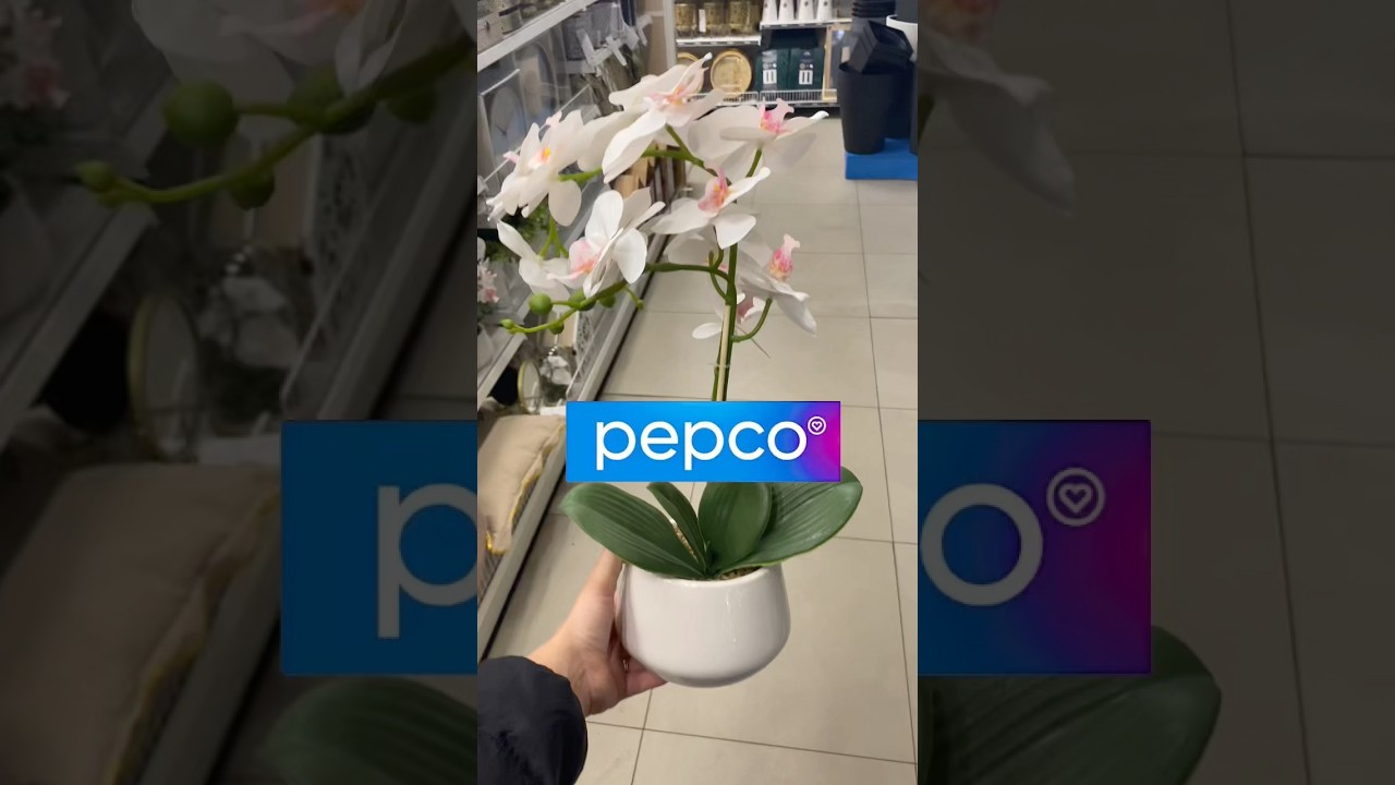 #pepco #шоппинг