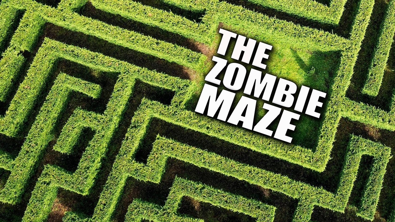 THE ZOMBIE MAZE (Call of Duty Zombies Map)