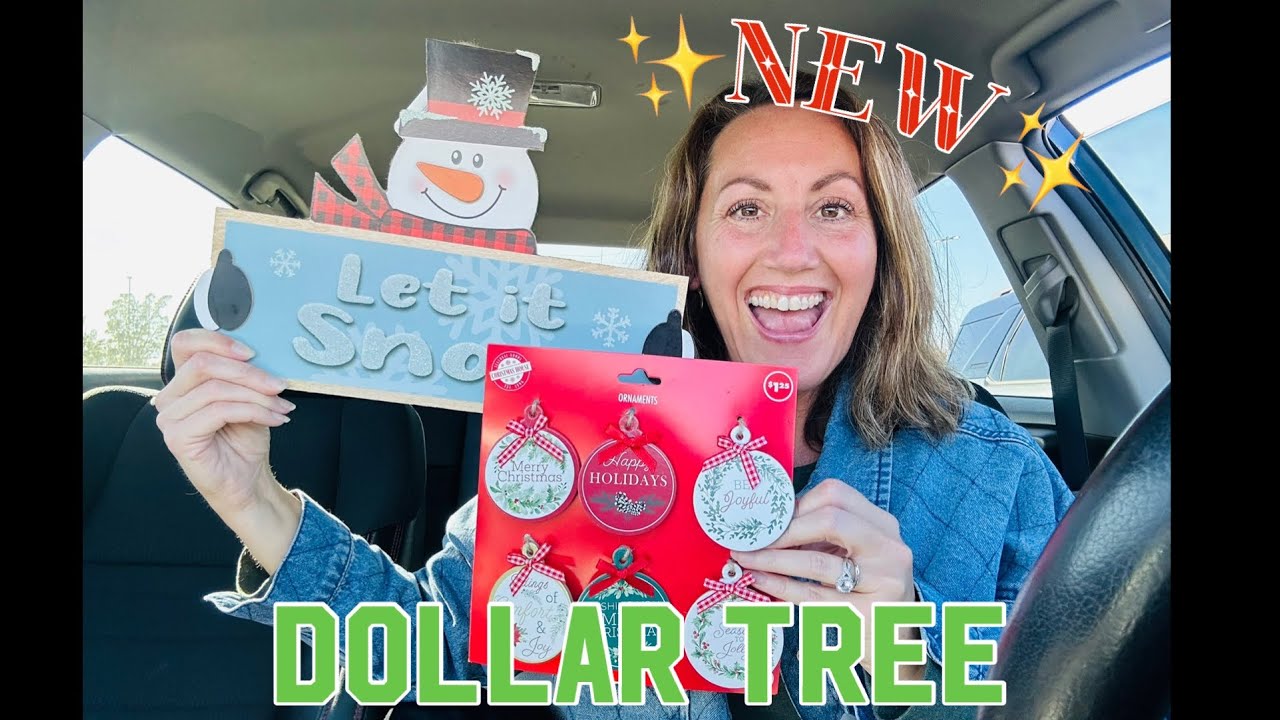 ✨NEW✨ DOLLAR TREE HAUL | 2024 Christmas & MORE Name Brand Items | So Exciting!