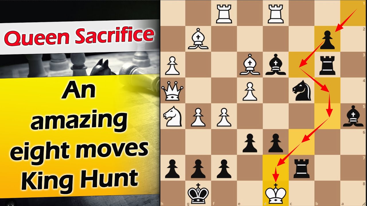 An amazing 8 moves king hunt | Blomqvist vs Pap 2006