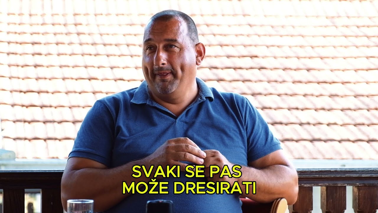 Šta je sporno!  www.mojpas.rs (2024)