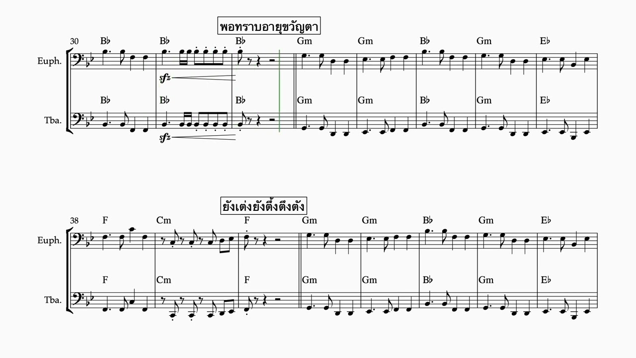 30 ยังแจ๋ว Baritone   Tuba