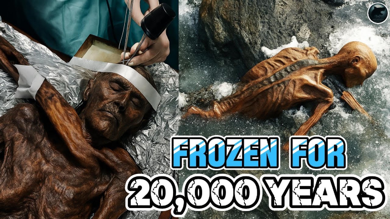 20,000-Year-Old Creatures Found Frozen in Ice &ndash; A Prehistoric World Revealed