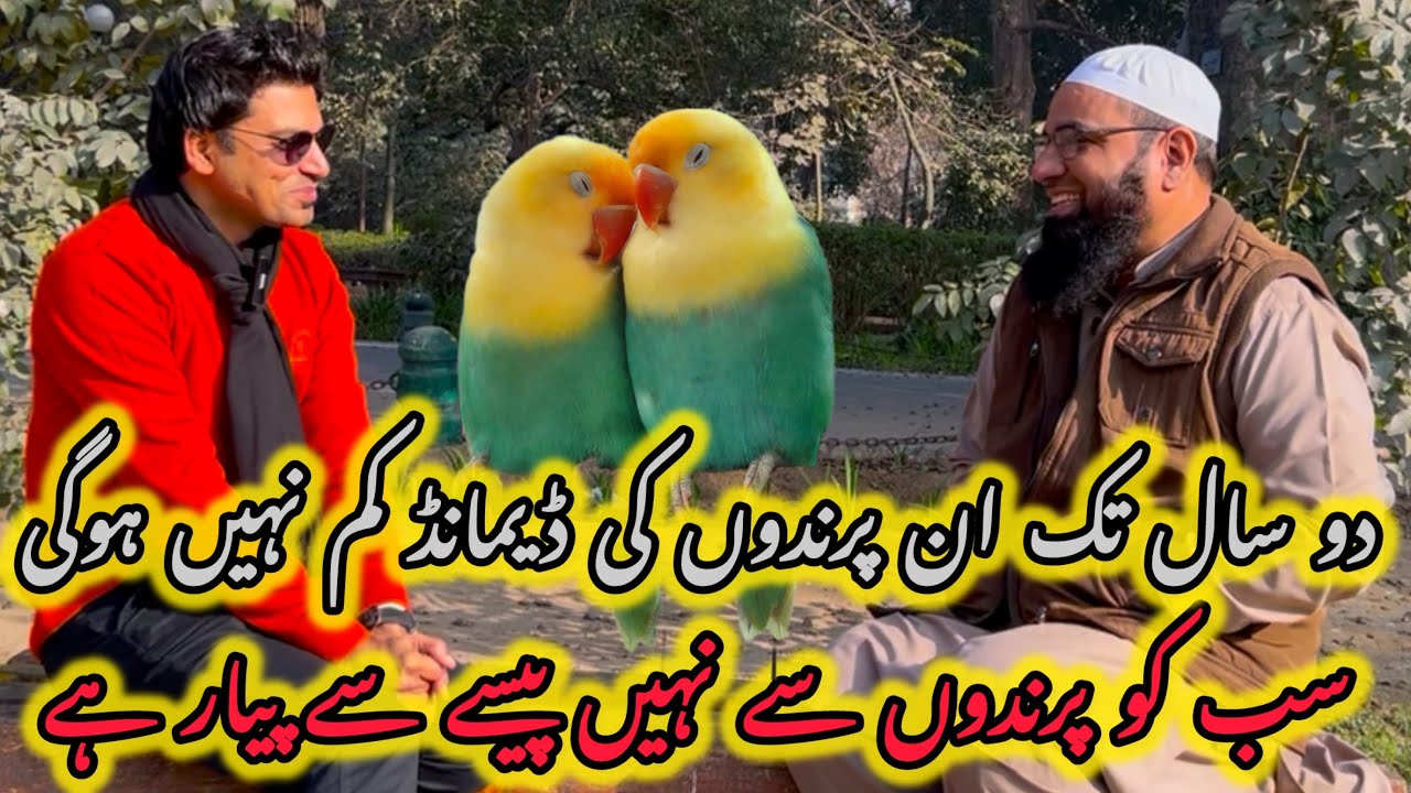 In Birds Pe Aaj Lagao…Kal kamao gay