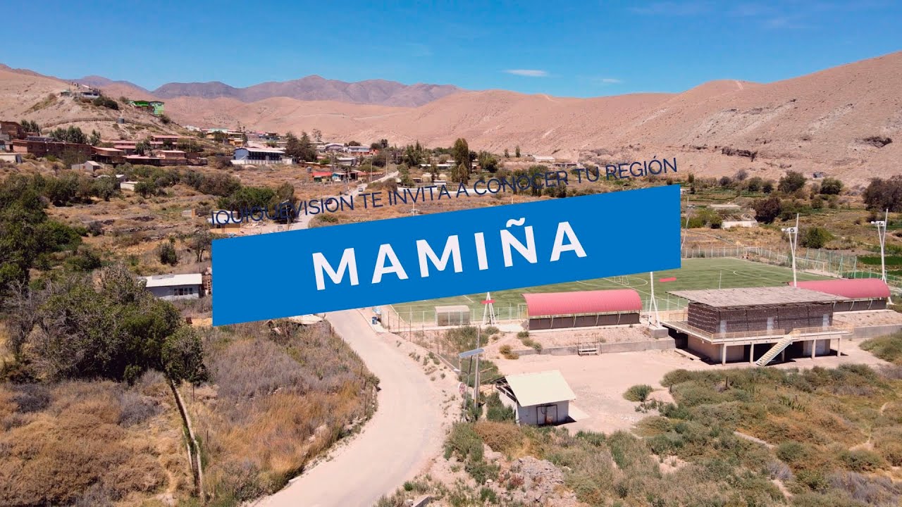 MAMI&Ntilde;A #TARAPAC&Aacute;, #CHILE, FONDO DE MEDIOS 2021