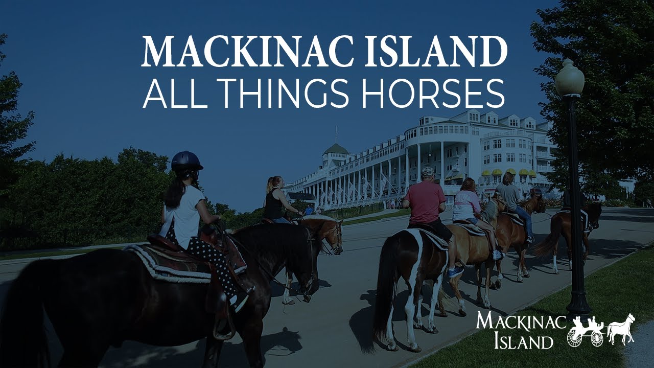 Mackinac Island - All Things Horses