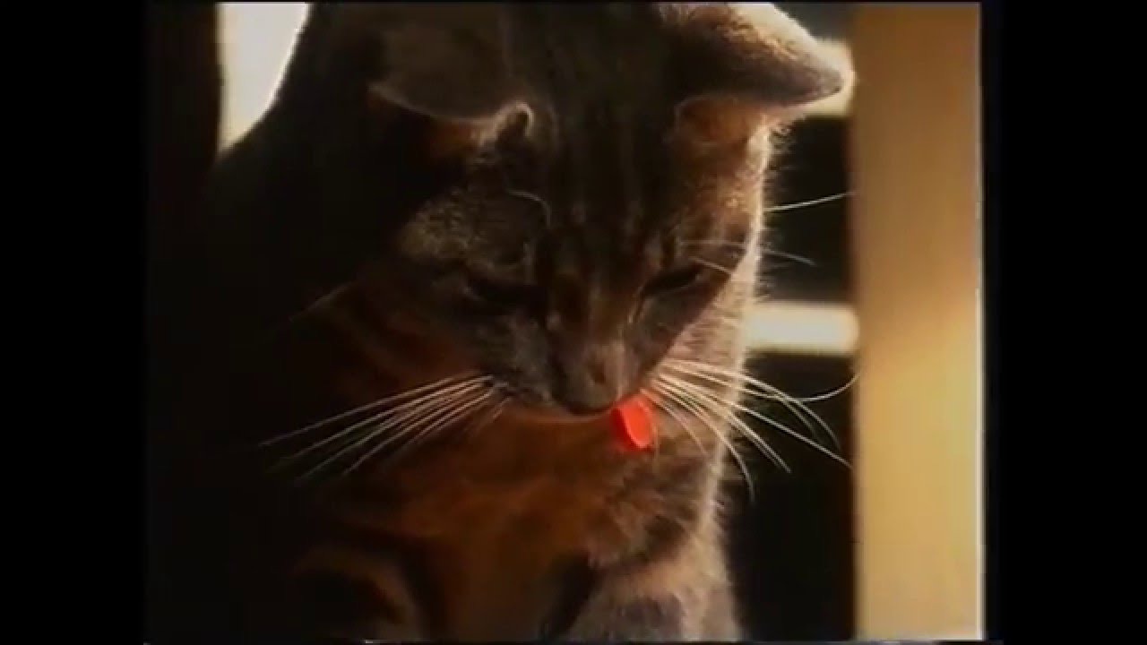 Whiskas (1994)