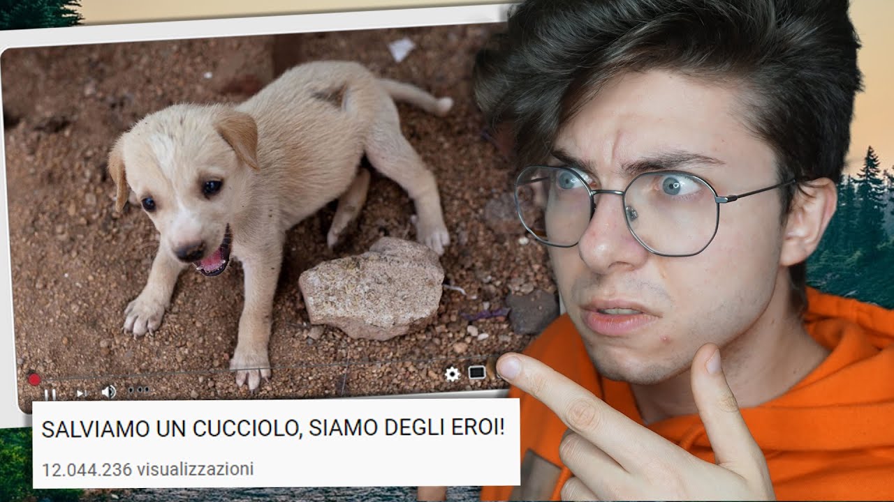 FINGERE di SALVARE ANIMALI per VISUAL - Sottobosco | Jematria