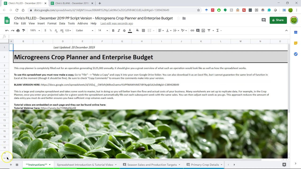 Getting Started with the Spreadsheet