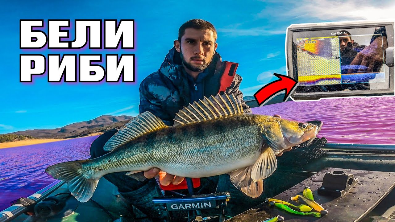 БЕЛИ РИБИ  на джиг ! Кои са перфектните условия ?