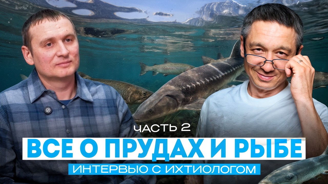 САМЫЕ ПОПУЛЯРНЫЕ ВОПРОСЫ ИХТИОЛОГУ. ВСЕ О ПРУДАХ И РЫБЕ. ЧАСТЬ-2 #2026 #рыба #интервью