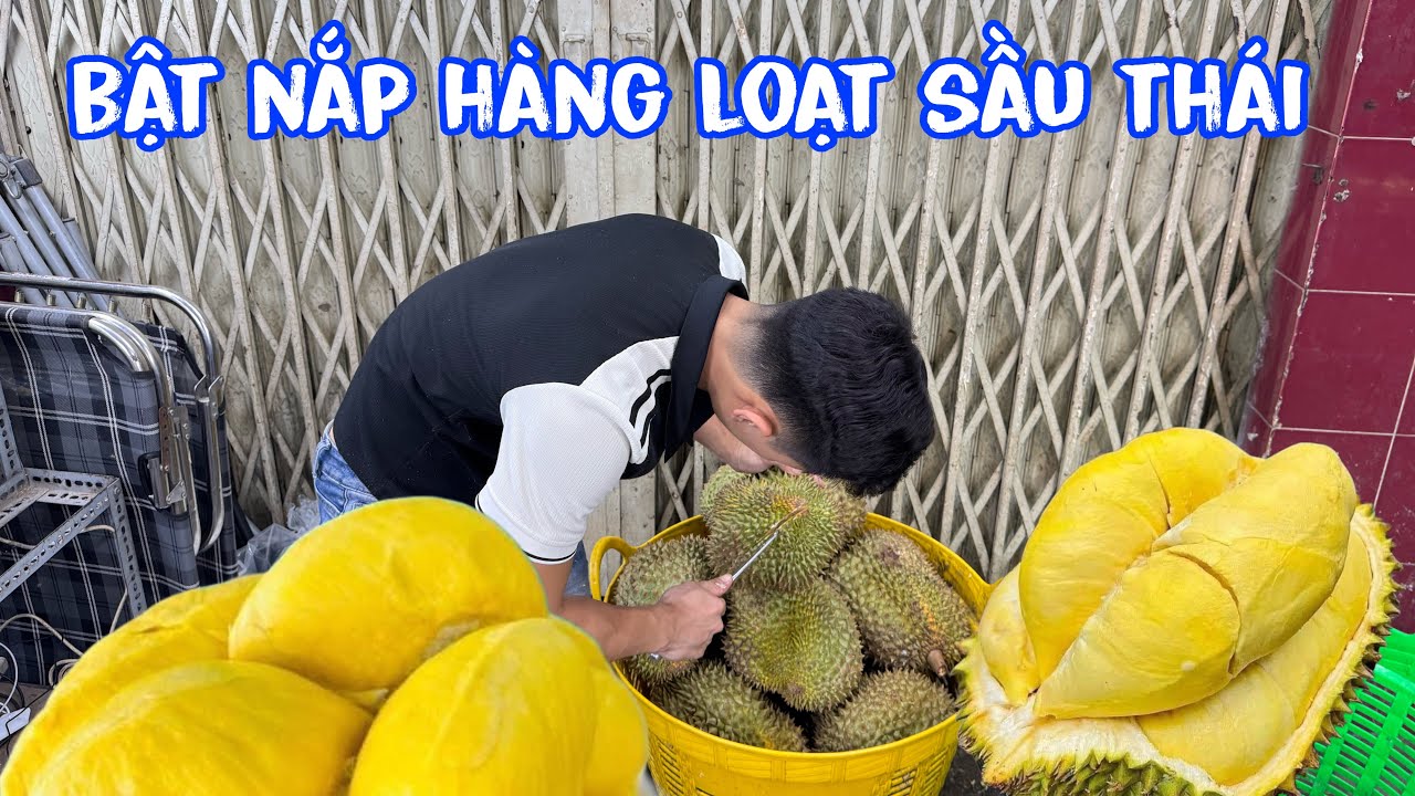 🟢Chiều Sài gòn 2025! hàng loạt sầu riêng Thái Monthong được bật nắp