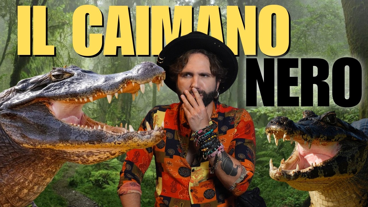 IL CAIMANO NERO
