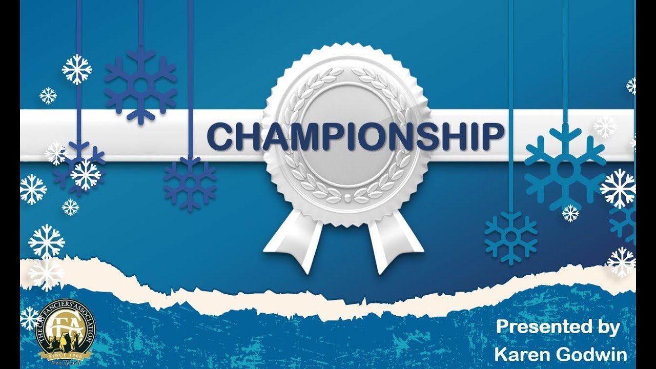 Half Moon Club Virtual Cat Competition- Karen Godwin Championship Final
