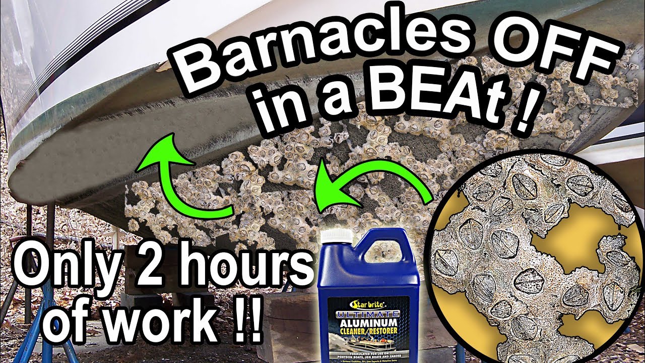 Barnacle removal from boat - dissolving the Barnacles with Starbrite Acid for a smooth shiny hull !!