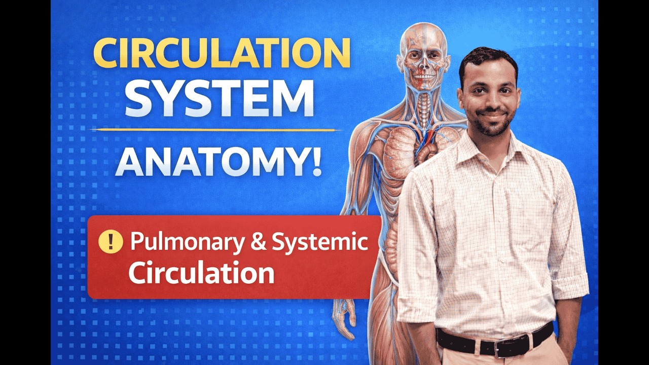 Human Anatomy for Human Heart Circulation Explained Medical Coding Beginners,Medical Coding Training
