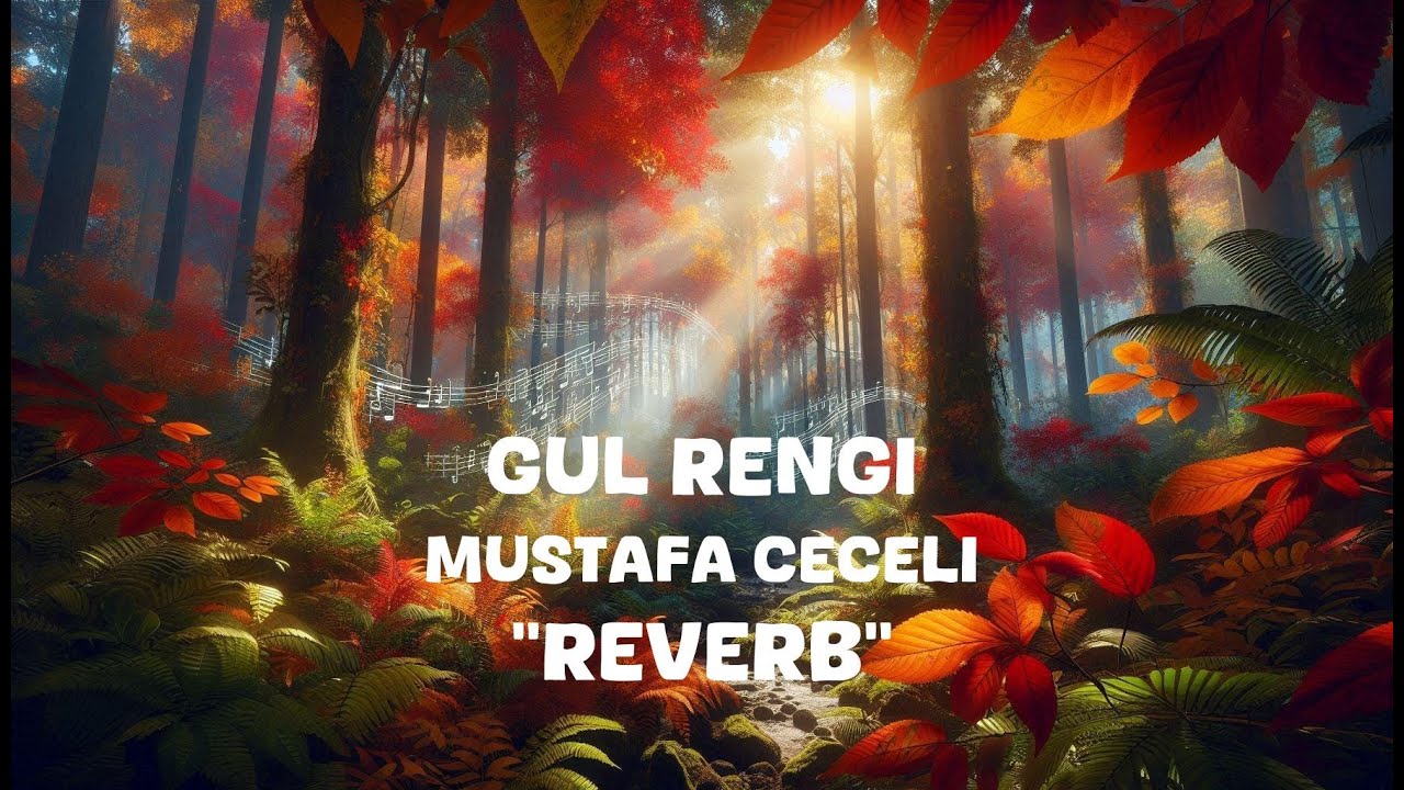 Mustafa Ceceli - Gul Rengi (Reverb Lyrics)