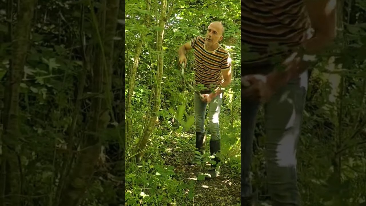 Trimming through the under-canopy 