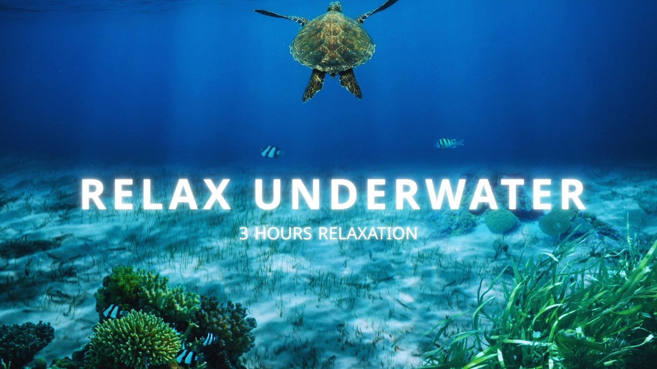 3 ساعات استرخاء كامل | أعماق البحر الهادئة | Ocean Ambience for Sleep & Focus